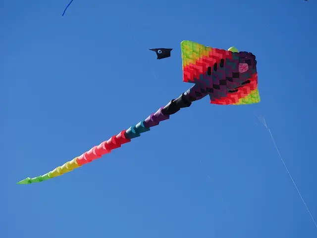 Guide pratique pour choisir le bon parachute pour votre saut