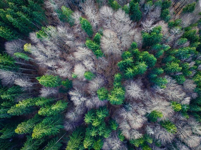 Les meilleures destinations pour un parachutisme exceptionnel
